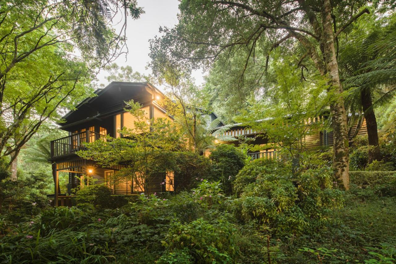 Monreale House Bed and Breakfast Sassafras Eksteriør billede